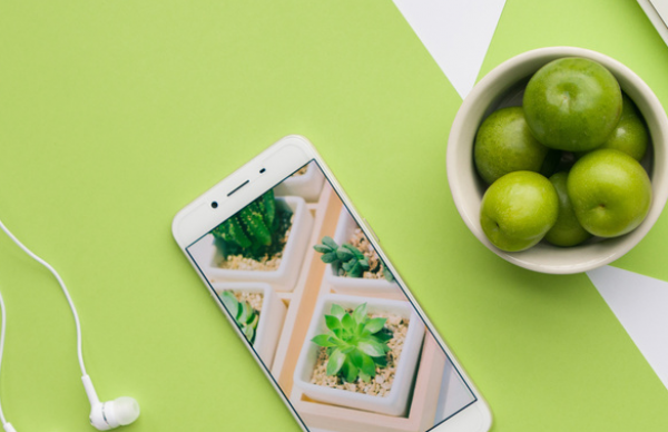 節(jié)能環(huán)保網(wǎng)站建設(shè)解決方案